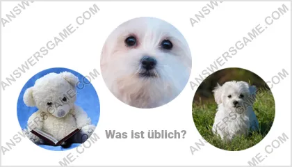 Lösung für das Wort Betrüger Ebene 1 Puzzle 18