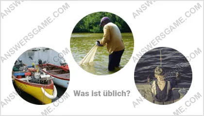 Lösung für das Wort Betrüger Ebene 16 Puzzle 17