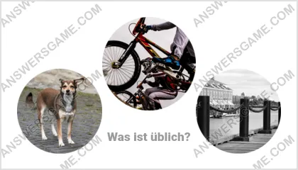 Lösung für das Wort Betrüger Ebene 12 Puzzle 3