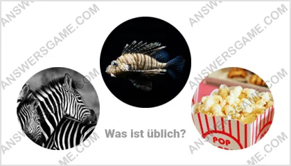 Lösung für das Wort Betrüger Ebene 10 Puzzle 14