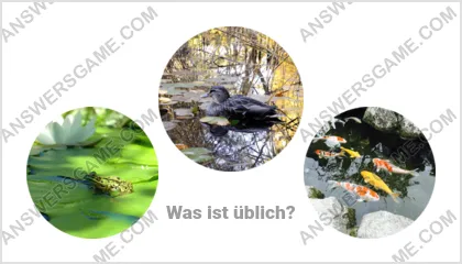 Lösung für das Wort Betrüger Ebene 9 Puzzle 7
