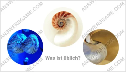 Lösung für das Wort Betrüger Ebene 3 Puzzle 19