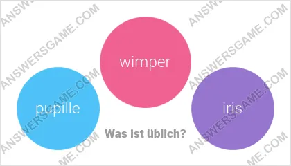 Lösung für das Wort Betrüger Ebene 13 Puzzle 12