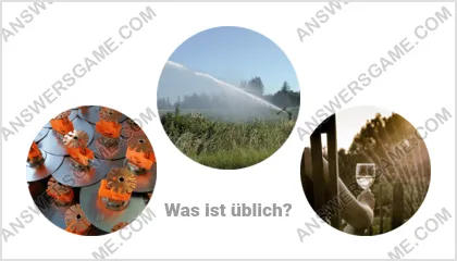 Lösung für das Wort Betrüger Ebene 8 Puzzle 18