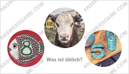 Lösung für das Wort Betrüger Ebene 6 Puzzle 17