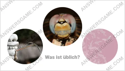 Lösung für das Wort Betrüger Ebene 10 Puzzle 2