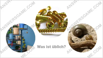 Lösung für das Wort Betrüger Ebene 11 Puzzle 9