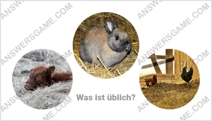 Lösung für das Wort Betrüger Ebene 5 Puzzle 18