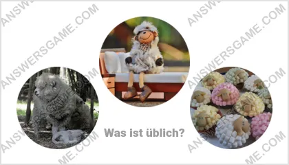 Lösung für das Wort Betrüger Ebene 6 Puzzle 13