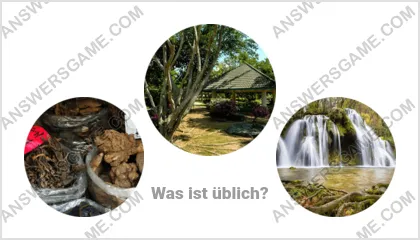 Lösung für das Wort Betrüger Ebene 9 Puzzle 13