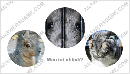 Lösung für das Wort Betrüger Ebene 14 Puzzle 19