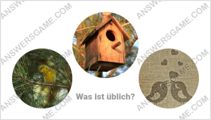 Lösung für das Wort Betrüger Ebene 6 Puzzle 6