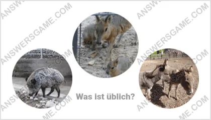 Lösung für das Wort Betrüger Ebene 12 Puzzle 18