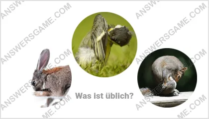 Lösung für das Wort Betrüger Ebene 7 Puzzle 2