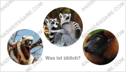 Lösung für das Wort Betrüger Ebene 2 Puzzle 2