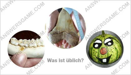 Lösung für das Wort Betrüger Ebene 16 Puzzle 18