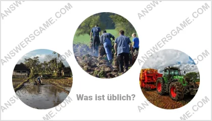 Lösung für das Wort Betrüger Ebene 12 Puzzle 7