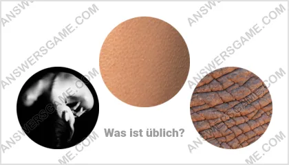 Lösung für das Wort Betrüger Ebene 17 Puzzle 13