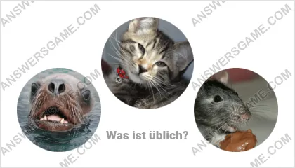 Lösung für das Wort Betrüger Ebene 17 Puzzle 19