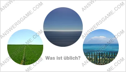 Lösung für das Wort Betrüger Ebene 17 Puzzle 5