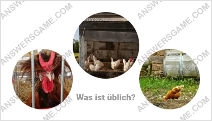 Lösung für das Wort Betrüger Ebene 14 Puzzle 18