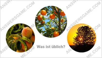 Lösung für das Wort Betrüger Ebene 1 Puzzle 15