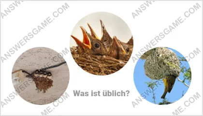 Lösung für das Wort Betrüger Ebene 11 Puzzle 11