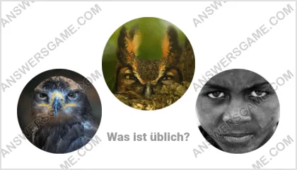 Lösung für das Wort Betrüger Ebene 16 Puzzle 3