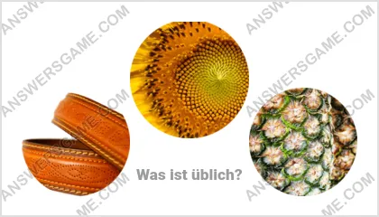 Lösung für das Wort Betrüger Ebene 20 Puzzle 5