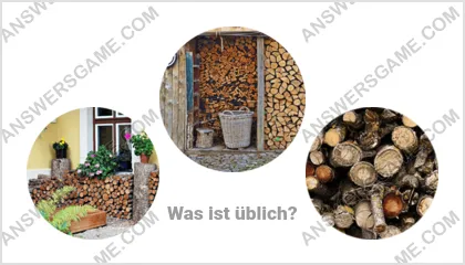 Lösung für das Wort Betrüger Ebene 6 Puzzle 2