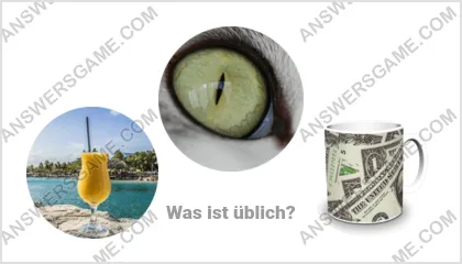 Lösung für das Wort Betrüger Ebene 5 Puzzle 15