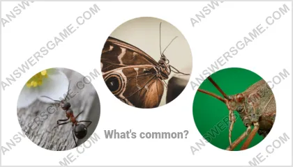 Answers to the Word Imposter Level 5 Puzzle 1