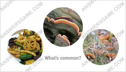 Answers to the Word Imposter Level 2 Puzzle 18