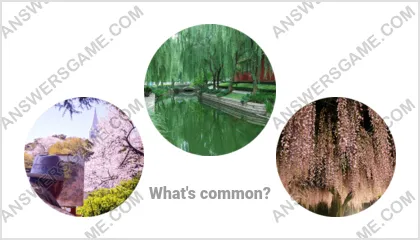 Answers to the Word Imposter Level 14 Puzzle 14