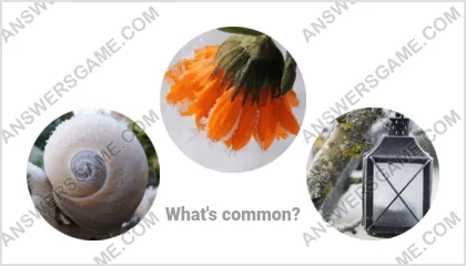 Answers to the Word Imposter Level 6 Puzzle 14