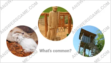 Answers to the Word Imposter Level 17 Puzzle 1