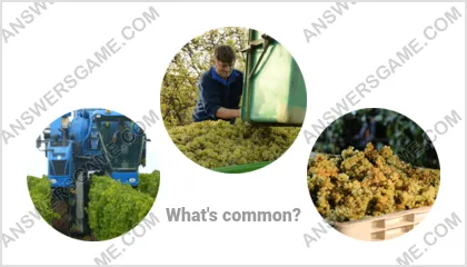 Answers to the Word Imposter Level 16 Puzzle 6