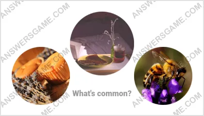 Answers to the Word Imposter Level 4 Puzzle 1