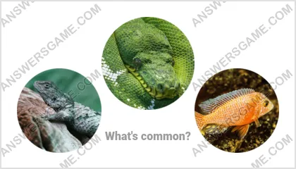 Answers to the Word Imposter Level 7 Puzzle 14