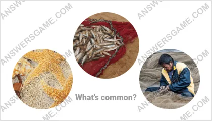 Answers to the Word Imposter Level 7 Puzzle 17