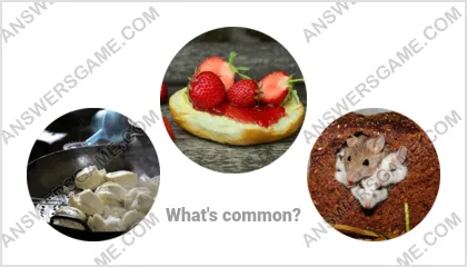 Answers to the Word Imposter Level 13 Puzzle 5