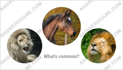 Answers to the Word Imposter Level 20 Puzzle 3