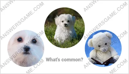 Answers to the Word Imposter Level 1 Puzzle 18