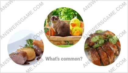 Answers to the Word Imposter Level 13 Puzzle 14