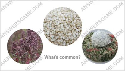 Answers to the Word Imposter Level 15 Puzzle 7