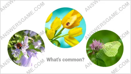 Answers to the Word Imposter Level 19 Puzzle 3