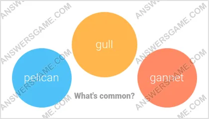 Answers to the Word Imposter Level 20 Puzzle 18