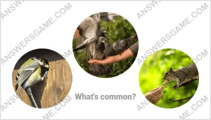 Answers to the Word Imposter Level 7 Puzzle 3