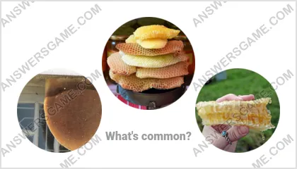 Answers to the Word Imposter Level 12 Puzzle 1