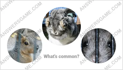 Answers to the Word Imposter Level 14 Puzzle 19